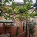 Casa Interbelica - Ultracentral- Popa Nan, Piata Alba Iulia